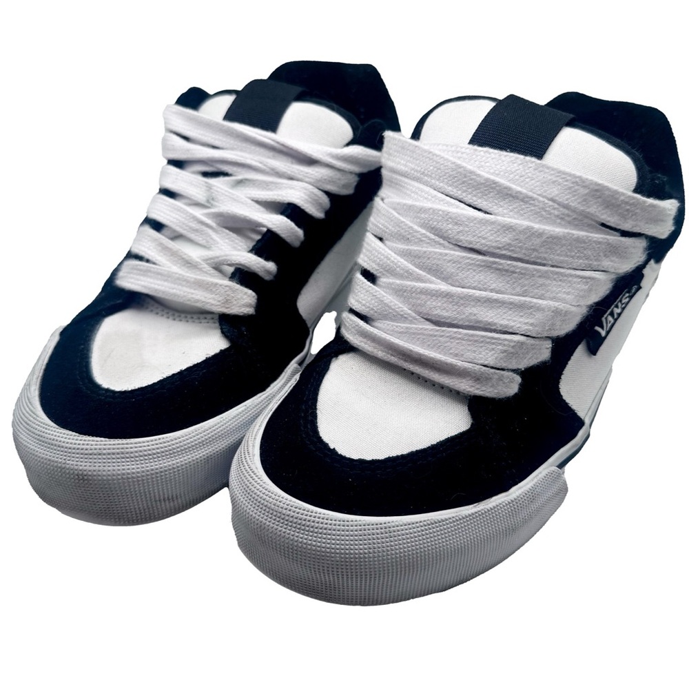 Vans Black & White Low-Top Skate Sneakers